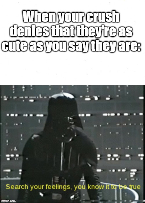 Crushes | When your crush denies that they're as cute as you say they are: | image tagged in darth vader,star wars,dating,crush | made w/ Imgflip meme maker