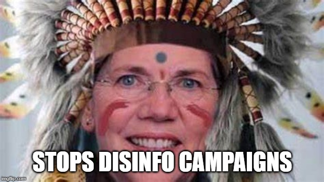 STOPS DISINFO CAMPAIGNS | image tagged in elizabeth warren,election 2020,politics,pocahontas | made w/ Imgflip meme maker
