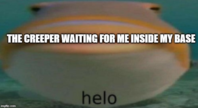 helo | THE CREEPER WAITING FOR ME INSIDE MY BASE | image tagged in helo | made w/ Imgflip meme maker