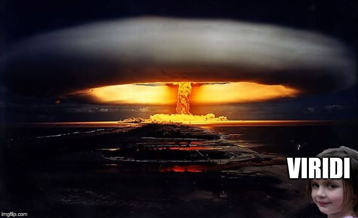 Disaster Girl Nukes 'Em | VIRIDI | image tagged in disaster girl nukes 'em | made w/ Imgflip meme maker