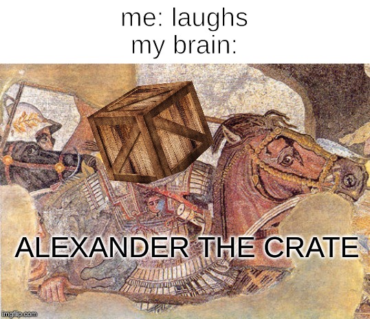 alexander | me: laughs
my brain:; ALEXANDER THE CRATE | image tagged in memes,crate | made w/ Imgflip meme maker