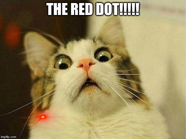 Scared Cat | THE RED DOT!!!!! | image tagged in memes,scared cat | made w/ Imgflip meme maker