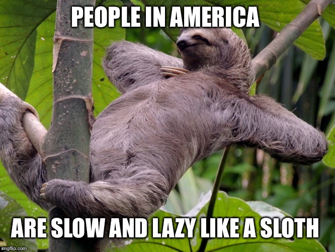 Lazy Sloth | PEOPLE IN AMERICA; ARE SLOW AND LAZY LIKE A SLOTH | image tagged in lazy sloth | made w/ Imgflip meme maker