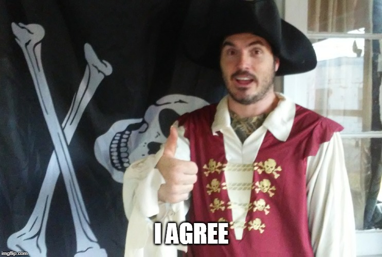 PIRATE THUMBS UP | I AGREE | image tagged in pirate thumbs up | made w/ Imgflip meme maker