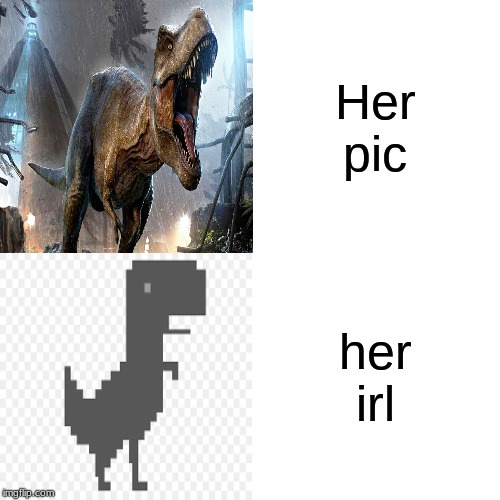 Her pic; her irl | image tagged in in real life | made w/ Imgflip meme maker