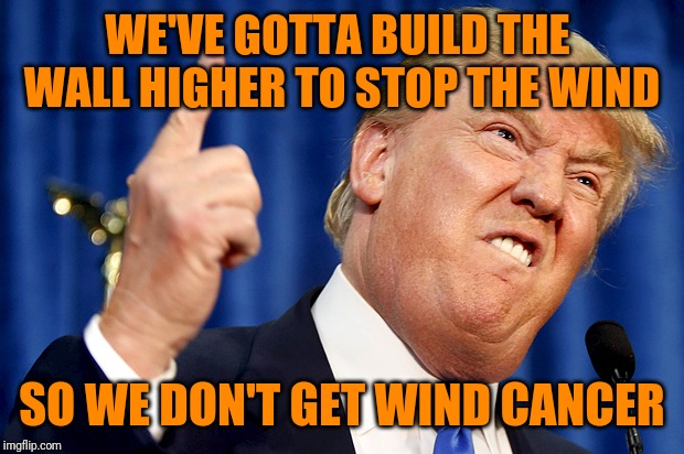 Donald Trump | WE'VE GOTTA BUILD THE  WALL HIGHER TO STOP THE WIND SO WE DON'T GET WIND CANCER | image tagged in donald trump | made w/ Imgflip meme maker