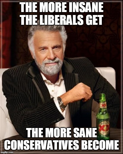 THATS JUST MY OPINION | THE MORE INSANE THE LIBERALS GET; THE MORE SANE CONSERVATIVES BECOME | image tagged in memes,the most interesting man in the world,liberals,conservatives | made w/ Imgflip meme maker