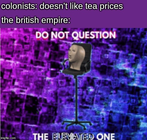 Do not question the elevated one | colonists: doesn't like tea prices; the british empire: | image tagged in do not question the elevated one | made w/ Imgflip meme maker
