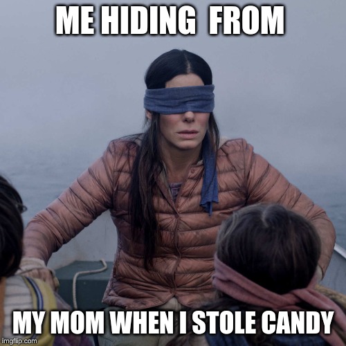Bird Box Meme | ME HIDING  FROM; MY MOM WHEN I STOLE CANDY | image tagged in memes,bird box | made w/ Imgflip meme maker
