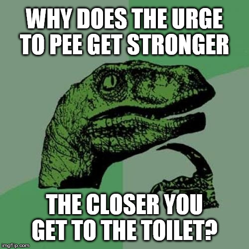 I Peed My Pants |  WHY DOES THE URGE TO PEE GET STRONGER; THE CLOSER YOU GET TO THE TOILET? | image tagged in philosoraptor | made w/ Imgflip meme maker