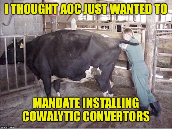 I THOUGHT AOC JUST WANTED TO MANDATE INSTALLING COWALYTIC CONVERTORS | made w/ Imgflip meme maker