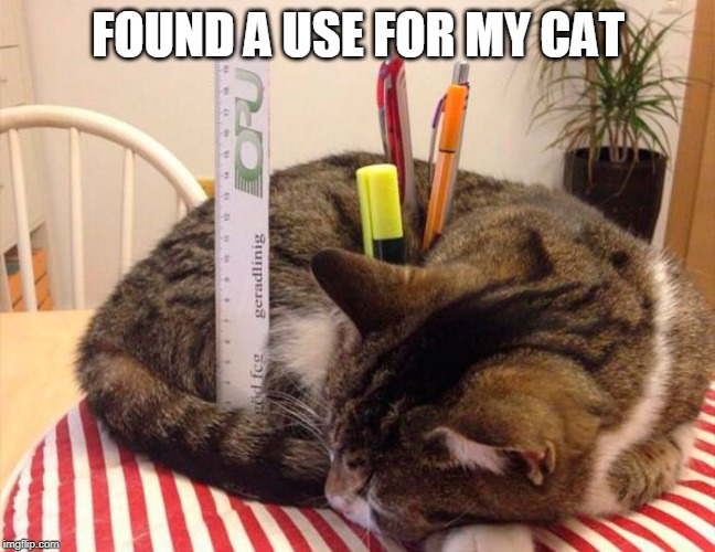 ALL THEY DO IS LAY AROUND ALL DAY | FOUND A USE FOR MY CAT | image tagged in cats,funny cats | made w/ Imgflip meme maker