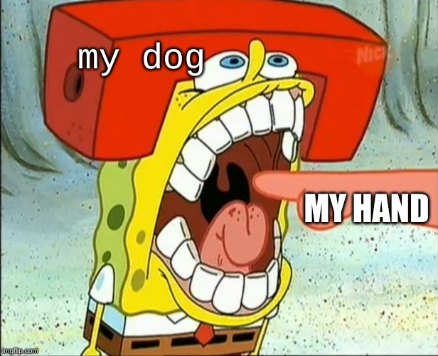 Butt EAter | my dog; MY HAND | image tagged in butt eater | made w/ Imgflip meme maker