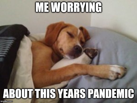 ME WORRYING; ABOUT THIS YEARS PANDEMIC | image tagged in chill | made w/ Imgflip meme maker