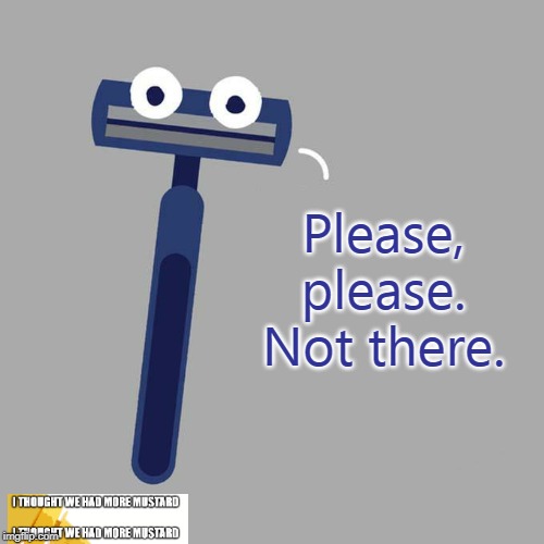 Please No Shave | Please, please. Not there. | image tagged in no shave november,shave,shaved | made w/ Imgflip meme maker