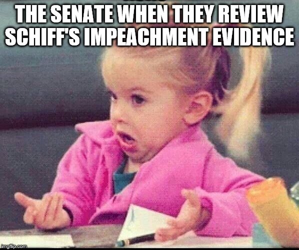 My face when |  THE SENATE WHEN THEY REVIEW SCHIFF'S IMPEACHMENT EVIDENCE | image tagged in my face when | made w/ Imgflip meme maker
