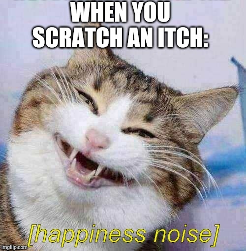 Happiness Noise Cat | WHEN YOU SCRATCH AN ITCH: | image tagged in happiness noise cat | made w/ Imgflip meme maker