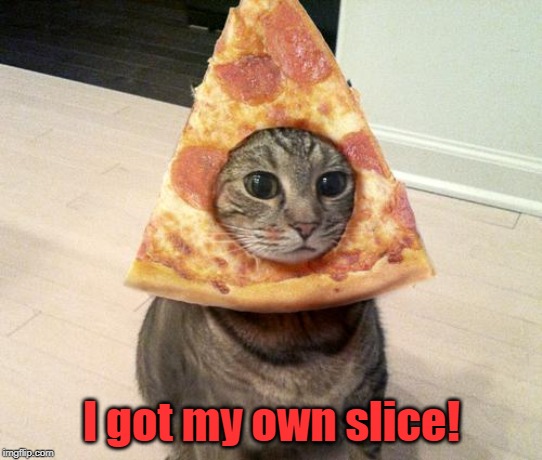 pizza cat | I got my own slice! | image tagged in pizza cat | made w/ Imgflip meme maker