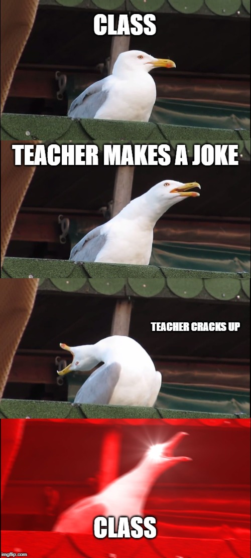 Inhaling Seagull | CLASS; TEACHER MAKES A JOKE; TEACHER CRACKS UP; CLASS | image tagged in memes,inhaling seagull | made w/ Imgflip meme maker