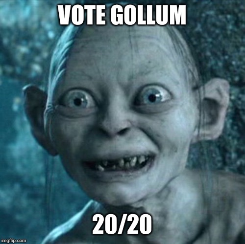 Gollum | VOTE GOLLUM; 20/20 | image tagged in memes,gollum | made w/ Imgflip meme maker