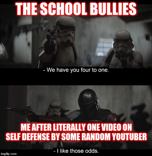 Four to One | THE SCHOOL BULLIES; ME AFTER LITERALLY ONE VIDEO ON SELF DEFENSE BY SOME RANDOM YOUTUBER | image tagged in four to one | made w/ Imgflip meme maker