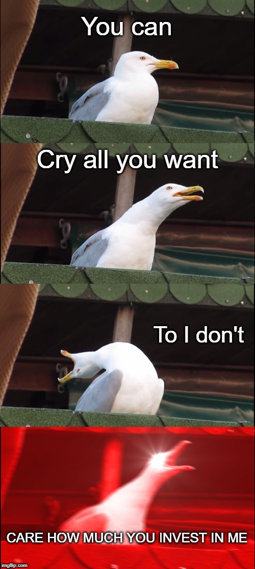 Inhaling Seagull Meme | You can; Cry all you want; To I don't; CARE HOW MUCH YOU INVEST IN ME | image tagged in memes,inhaling seagull | made w/ Imgflip meme maker