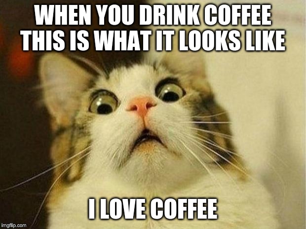 Scared Cat Meme | WHEN YOU DRINK COFFEE THIS IS WHAT IT LOOKS LIKE; I LOVE COFFEE | image tagged in memes,scared cat | made w/ Imgflip meme maker
