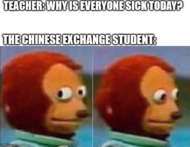 TEACHER: WHY IS EVERYONE SICK TODAY? THE CHINESE EXCHANGE STUDENT: | image tagged in monkey looking away | made w/ Imgflip meme maker