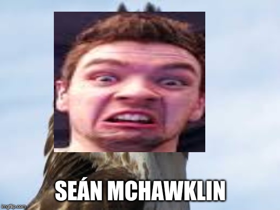 SEÁN MCHAWKLIN | image tagged in birds | made w/ Imgflip meme maker