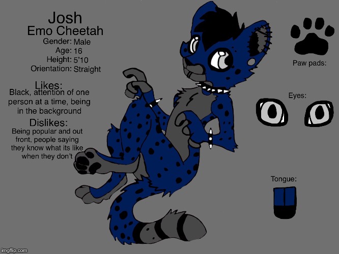 Hi, I'm wondering if you like how Josh the emo cheetah he’s one of my other characters | image tagged in furries,cheetah | made w/ Imgflip meme maker