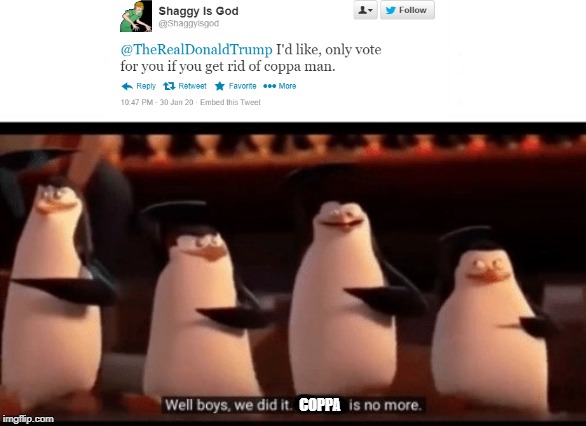 low effort but I don't care | COPPA | image tagged in well boys we did it blank is no more,madagascar penguin,coppa,trump,shaggy | made w/ Imgflip meme maker
