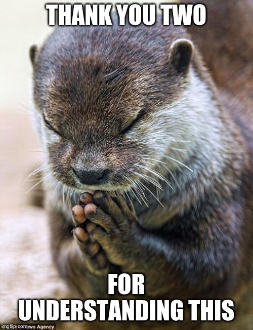 Thank you Lord Otter | THANK YOU TWO FOR UNDERSTANDING THIS | image tagged in thank you lord otter | made w/ Imgflip meme maker