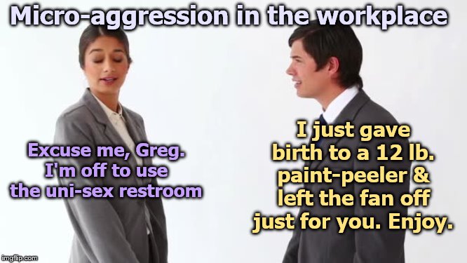 Excuse me, Greg. I'm off to use the uni-sex restroom I just gave birth to a 12 lb. paint-peeler & left the fan off just for you. Enjoy. Micr | made w/ Imgflip meme maker