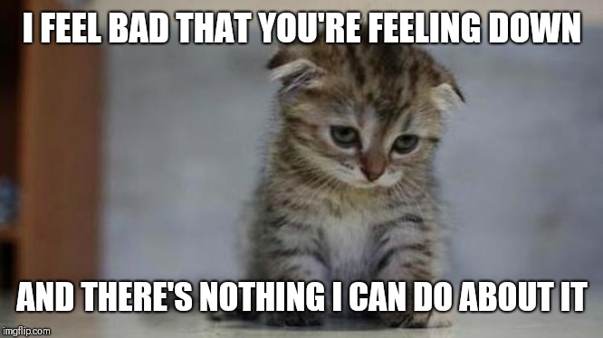 Sad kitten | I FEEL BAD THAT YOU'RE FEELING DOWN AND THERE'S NOTHING I CAN DO ABOUT IT | image tagged in sad kitten | made w/ Imgflip meme maker