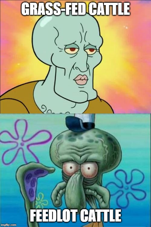 Squidward Meme | GRASS-FED CATTLE; FEEDLOT CATTLE | image tagged in memes,squidward | made w/ Imgflip meme maker