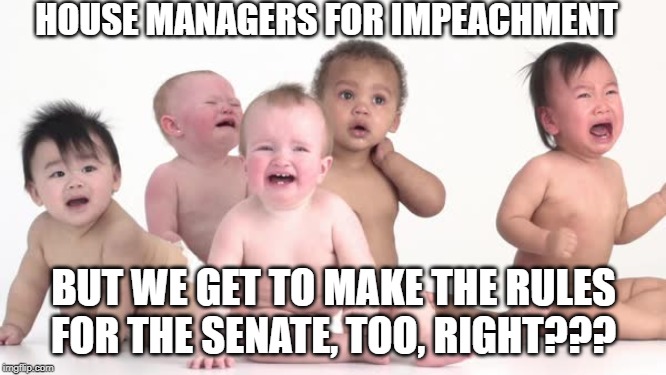 crying babies | HOUSE MANAGERS FOR IMPEACHMENT; BUT WE GET TO MAKE THE RULES FOR THE SENATE, TOO, RIGHT??? | image tagged in crying babies | made w/ Imgflip meme maker