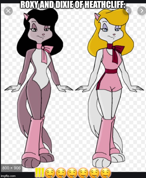 HEATHCLIFF ROXY AND DIXIE | ROXY AND DIXIE OF HEATHCLIFF:; !!!🤤🤤🤤🤤🤤🤤 | image tagged in heathcliff roxy and dixie | made w/ Imgflip meme maker