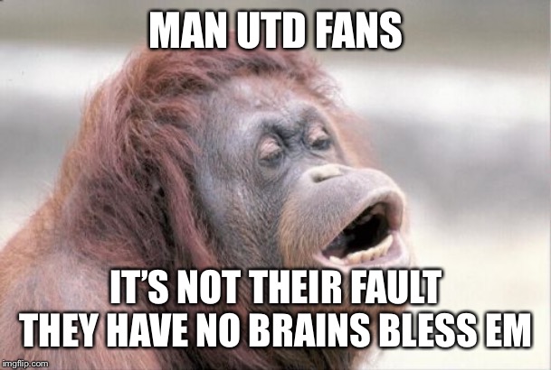 Monkey OOH Meme | MAN UTD FANS; IT’S NOT THEIR FAULT THEY HAVE NO BRAINS BLESS EM | image tagged in memes,monkey ooh | made w/ Imgflip meme maker