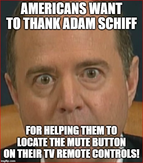 Adam Schiff | AMERICANS WANT TO THANK ADAM SCHIFF; FOR HELPING THEM TO LOCATE THE MUTE BUTTON ON THEIR TV REMOTE CONTROLS! | image tagged in adam schiff | made w/ Imgflip meme maker