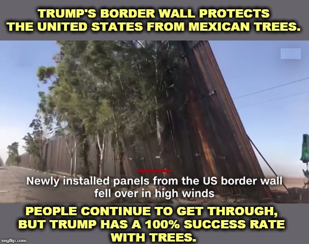 The wall will require hundreds of storm gates to be left open every summer so flash floods won't knock the wall down. WTF??? | TRUMP'S BORDER WALL PROTECTS THE UNITED STATES FROM MEXICAN TREES. PEOPLE CONTINUE TO GET THROUGH, 
BUT TRUMP HAS A 100% SUCCESS RATE 
WITH TREES. | image tagged in trump border wall fail,trump,mexico,wall,fail,global warming | made w/ Imgflip meme maker