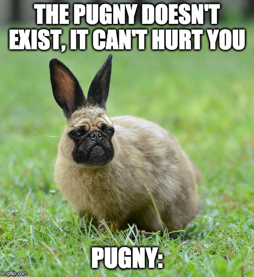 Pugny | THE PUGNY DOESN'T EXIST, IT CAN'T HURT YOU; PUGNY: | image tagged in pug,bunny | made w/ Imgflip meme maker
