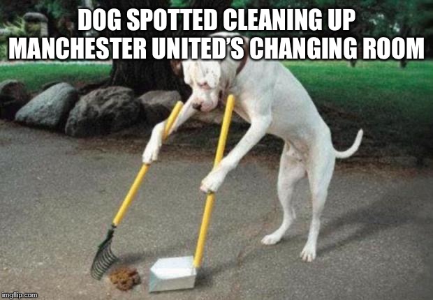 Dog poop | DOG SPOTTED CLEANING UP MANCHESTER UNITED’S CHANGING ROOM | image tagged in dog poop | made w/ Imgflip meme maker