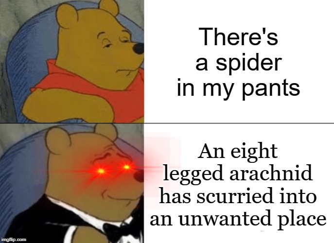 Tuxedo Winnie The Pooh Meme | There's a spider in my pants; An eight legged arachnid has scurried into an unwanted place | image tagged in memes,tuxedo winnie the pooh | made w/ Imgflip meme maker