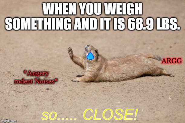 So Close | WHEN YOU WEIGH SOMETHING AND IT IS 68.9 LBS. ARGG; *Angery rodent Noises*; so..... CLOSE! | image tagged in so close | made w/ Imgflip meme maker