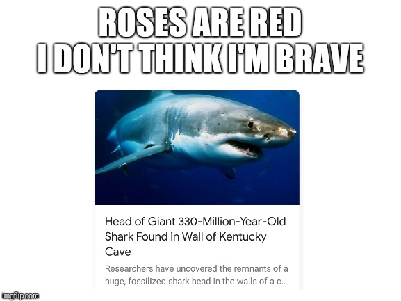 ROSES ARE RED
I DON'T THINK I'M BRAVE | made w/ Imgflip meme maker