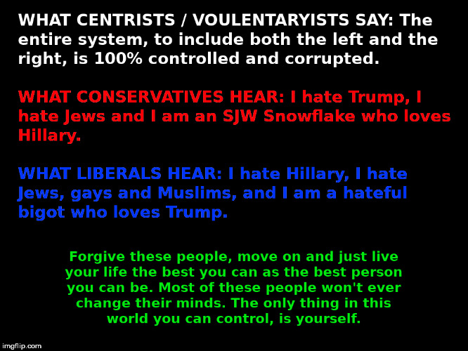 A Centrist makes a point and.... | image tagged in centrism,centrist,centrists,conservatives,liberals,idiots | made w/ Imgflip meme maker