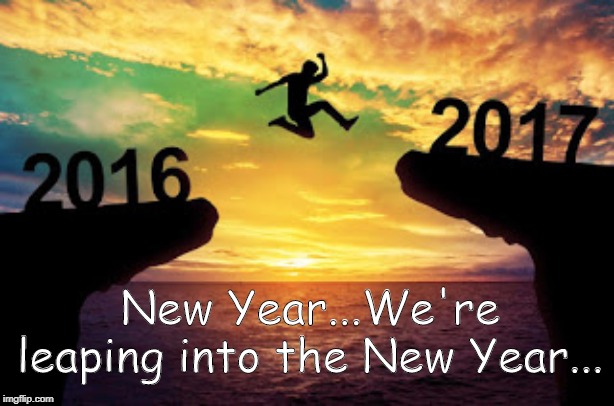 New Year Leap | New Year...We're leaping into the New Year... | image tagged in new year leap | made w/ Imgflip meme maker
