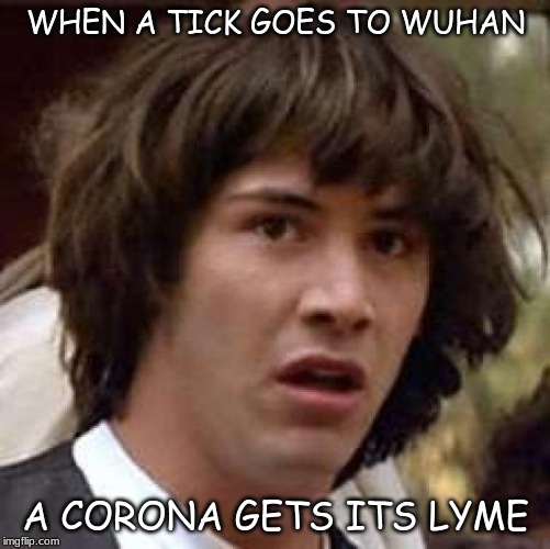 Conspiracy Keanu Meme | WHEN A TICK GOES TO WUHAN; A CORONA GETS ITS LYME | image tagged in memes,conspiracy keanu | made w/ Imgflip meme maker