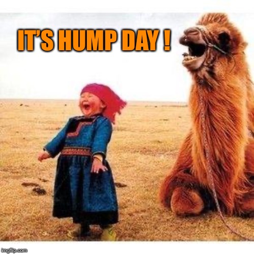 happy girl and camel | IT’S HUMP DAY ! | image tagged in happy girl and camel | made w/ Imgflip meme maker