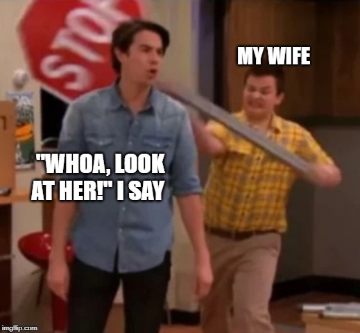 Gibby hitting Specner with a stop sign | MY WIFE; "WHOA, LOOK AT HER!" I SAY | image tagged in gibby hitting specner with a stop sign | made w/ Imgflip meme maker